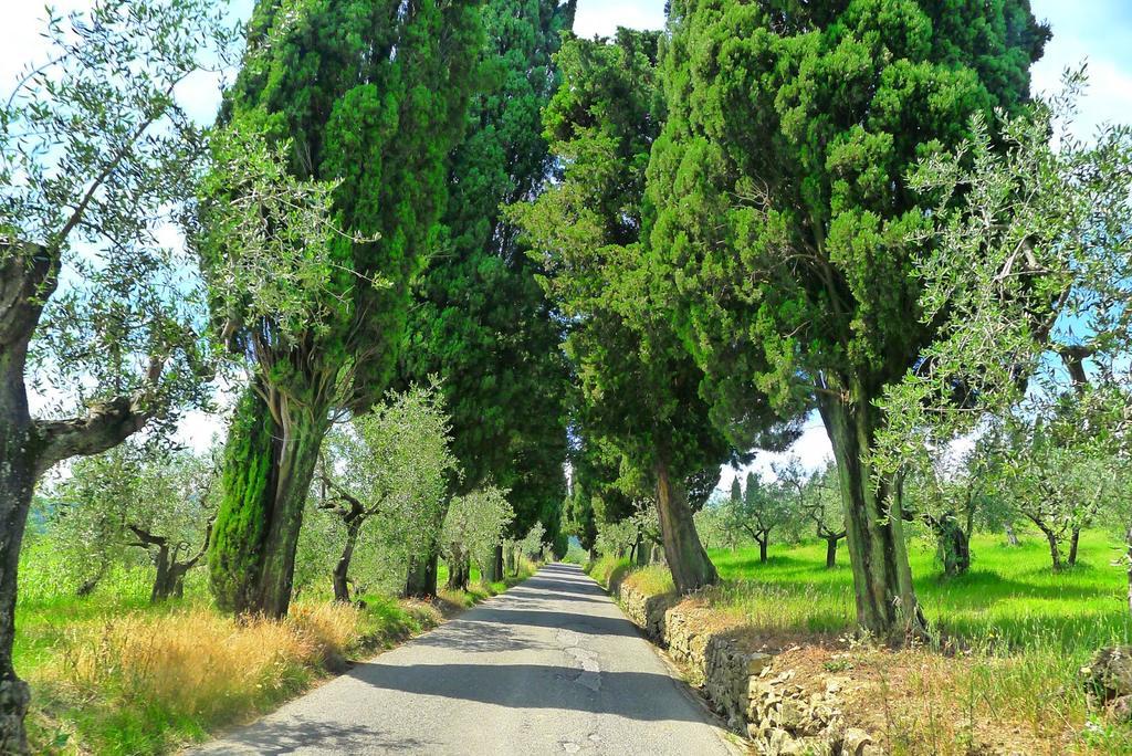 La Sassaia Villa Carmignano Ngoại thất bức ảnh