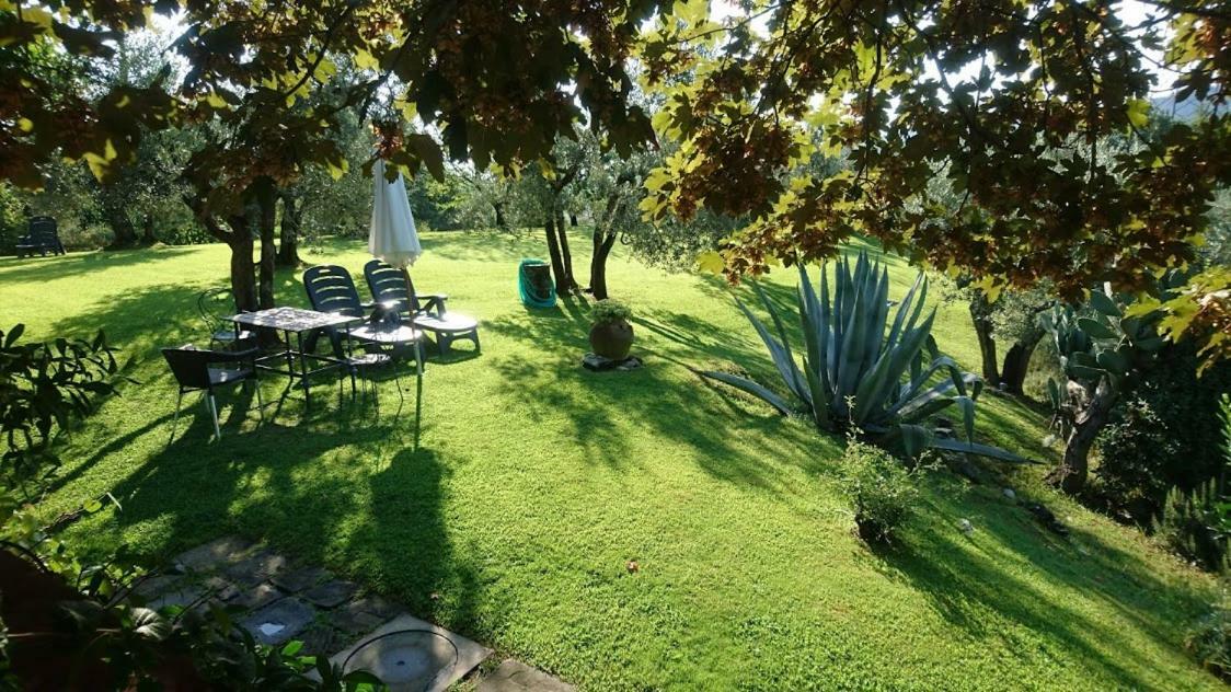 La Sassaia Villa Carmignano Ngoại thất bức ảnh
